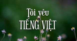 Top 7 Bài văn nghị luận về Giữ gìn sự trong sáng của tiếng Việt hay nhất